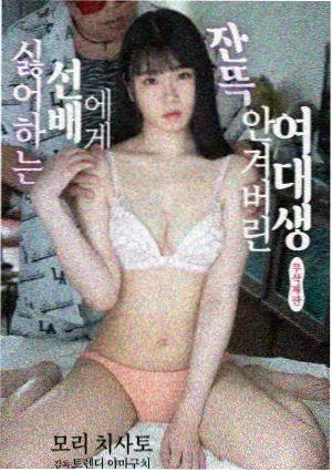 剧集静默航线封面